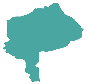 یزد